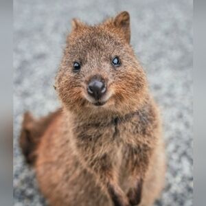 🌞 SMILE, SUNSHINE 🌞